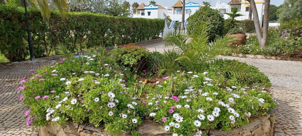 Quinta Velha 22 Appartement